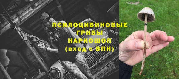 кокс Алексин