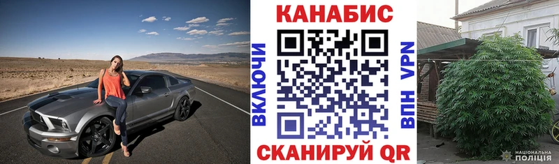 МЕГА tor  Жирновск  Бошки Шишки VHQ  как найти наркотики 